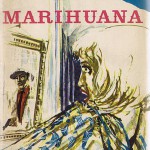 Marihuana Mythos 7: “Marihuana-Konsum während der Schwangerschaft schadet dem Fötus”