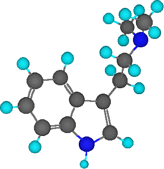 DMT DMT