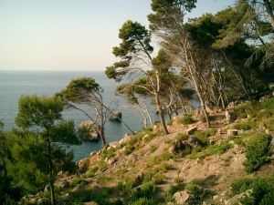 Steilküste bei Deia Steilküste bei Deia